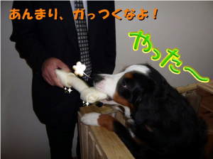 早くちょーだい！