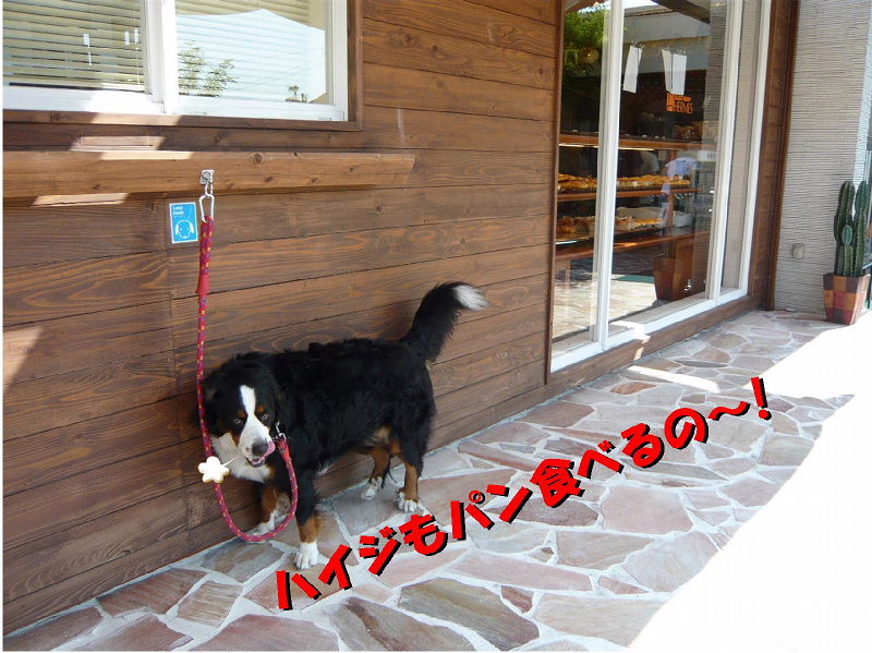 お腹ペコペコよ