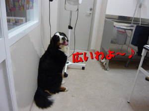 冷暖房完備♪