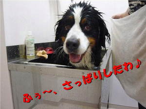 気持ちよか～♪