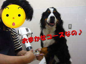 深爪に注意よ！