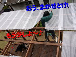 屋根取り付け工事