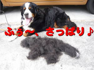 涼しくなったかも♪ 涼しくなったかも♪